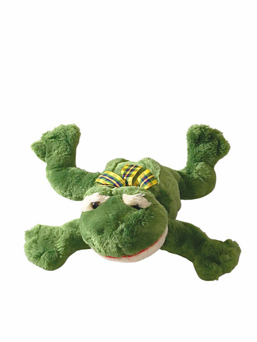Nirto zimex frog plaid ribbon - frog,