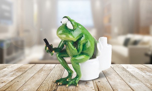 Frog sitting on toilet - 5.75"w,
