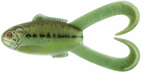 Scum frog - toad,