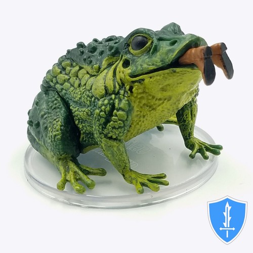 Giant toad wild beyond - -,