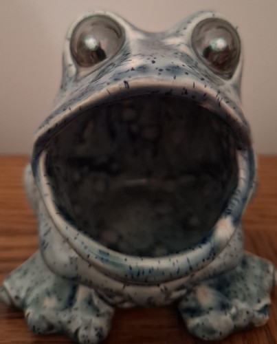 Frog scrubby - ,