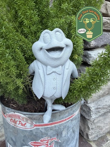 Toad garden statue - mr.,